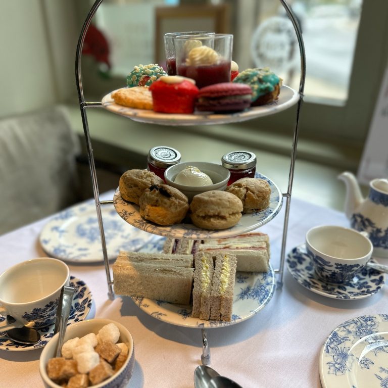 490455200_1190065106333426_2079286336783523622_n