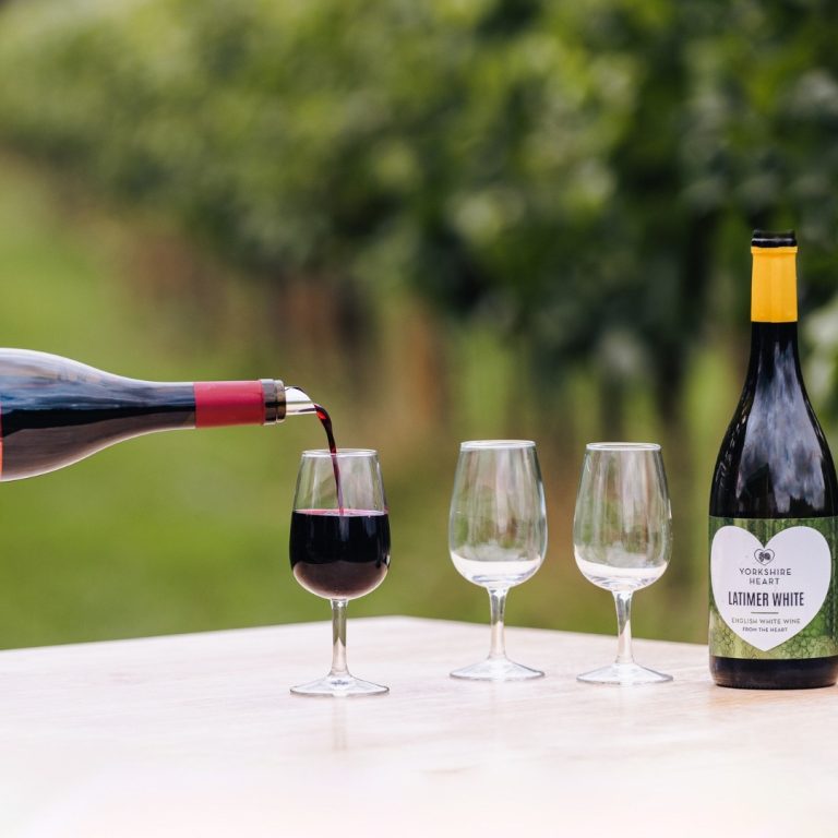 494104555_1232318812231027_344743112894712497_n