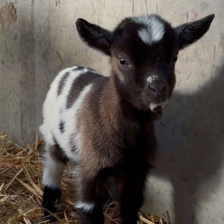 622124391_1190161666604965_8999944015466448836_n