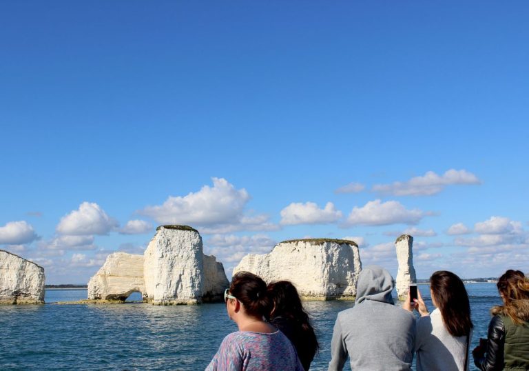 9d5f7662-1add-408e-bdc0-6a83fcc629af