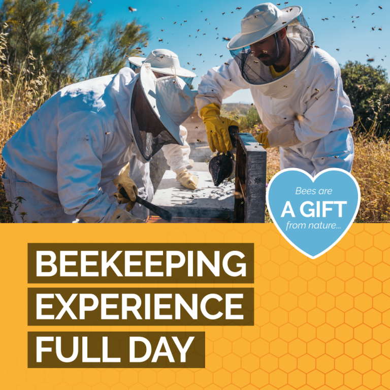 beekeeping-full-day